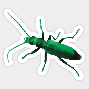 Green Beetle Wharf Borer Sticker